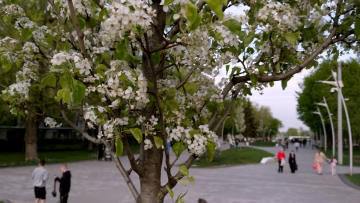 Прогноз погоды на неделю с 30 марта по 5 апреля в Харькове.