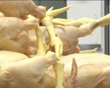 Дефіцит м'яса у Харківській області
