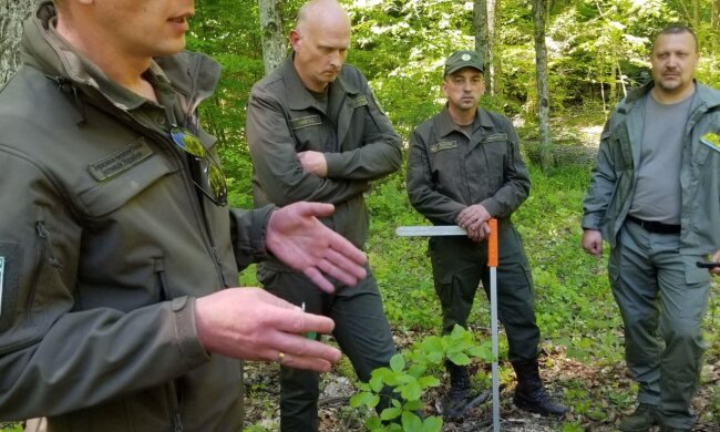 Андрій Мальований Держекоінспекція