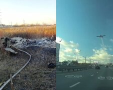 Самолет разбился под Москвой, погиб известный телеведущий с женой: кадры и подробности катастрофы
