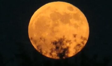 Над Украиной взошла "красная" луна, кадры уникального явления: "Бывает раз в 6-12 лет"