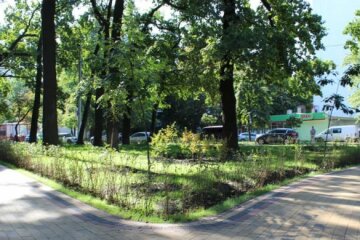 У Солом’янському районі урочисто відкрили сквер “Дубовий гай”