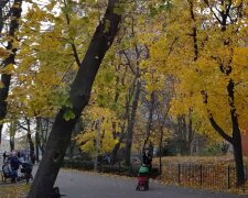 Прогноз погоды на октябрь в Кривом Роге.