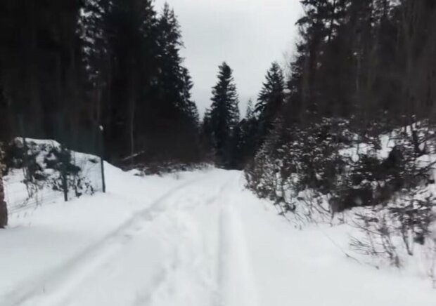 ����: politeka.net