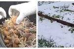 Початок квітня не порадує теплом, українці невдоволені прогнозом: "А коли ж картоплю садити?"