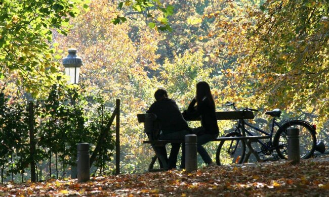 погода, осень, парк, влюбленные
