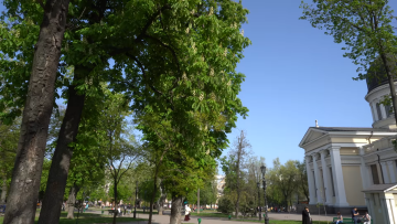 Прогноз погоды на неделю с 15 по 21 апреля в Полтавской области.