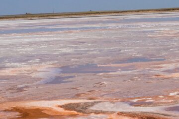 Екокатастрофа на Одещині, лимани висихають один за іншим: кадри