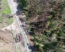 Госэкоинспекция: Оккупанты обстреляли леса на Житомирщине, чем нанесли ущерб на 36 млн гривен
