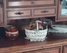 В Україні за десятки тисяч продають антикварні меблі: як виглядають речі, на які полюють колекціонери