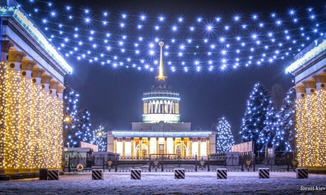 VGNH-noviy-god-12