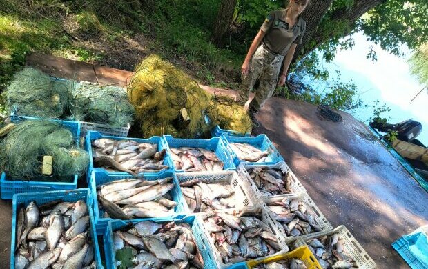 Госэкоинспекция остановила браконьерство в заказнике «Сулинский»: нанесли ущерб на 4 миллиона гривен