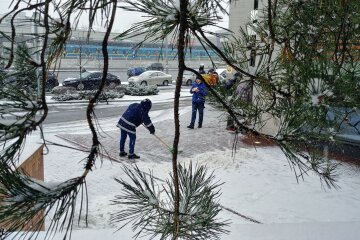 зима погода Люди сніг холод мороз
