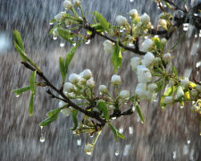 весна дождь