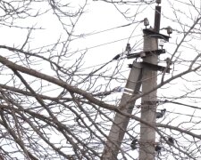 Графіки відключень світла на 30 грудня у Чернігові