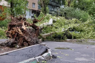 Одесити заблоковані в квартирах через повалені дерева (фото)