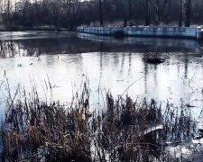 У Києві знамените озеро перетворилося в калюжу відходів: страхітливі кадри