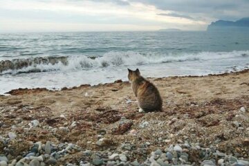 Апупка и Ядма: впервые опубликована новая карта Крыма