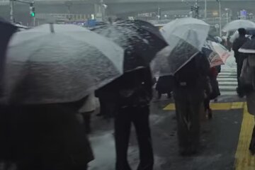осень, люди, погода, дождь, снег, зима