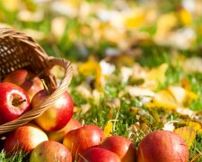Food_Berries_and_fruits_and_nuts_Red_Apples_035013_