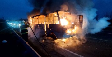 Пасажирський автобус спалахнув під час руху: кадри НП на Закарпатті