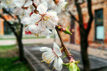 Погода заставит днепрян выйти на улицу, но вестись не надо: что будет на этой неделе