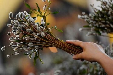 В УПЦ розповіли, як правильно святкувати Вербну неділю і освячувати вербу