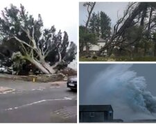 Разрушительная стихия обрушилась на города, жертвами урагана стало 16 человек: видео и фото