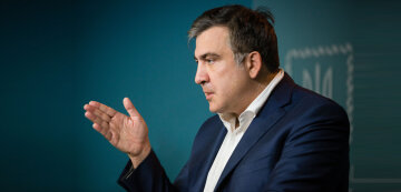 Саакашвили двумя словами описал дело против Довгого (видео)