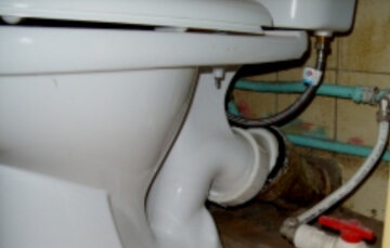 "Через каналізацію": мерзенні ссавці штурмують квартири дніпрян, фото