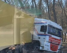 Грузовик слетел в кювет на трассе Чернигов-Киев: кадры и детали о пострадавших