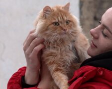 Дом разрушили, а кошка сбежала: украинка нашла чудом свою любимицу спустя 9 месяцев: видео