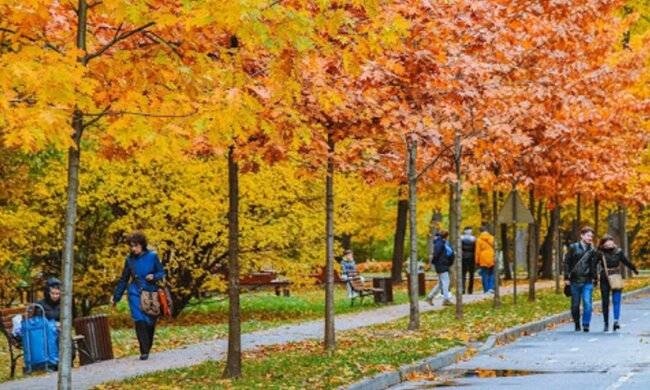 осень, люди, погода