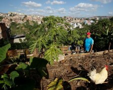 Голодуючим жителям Венесуели запропонували самим вирощувати їжу