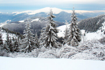 закарпатье карпаты