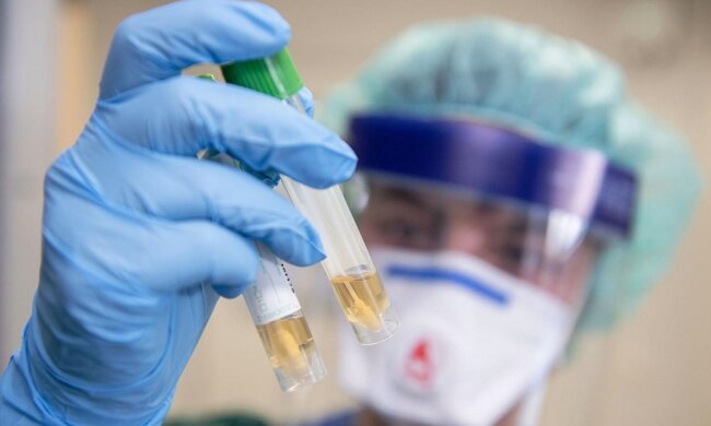 лікар, вірус