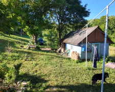 Бесплатное жилье для ВПЛ в Одесской области