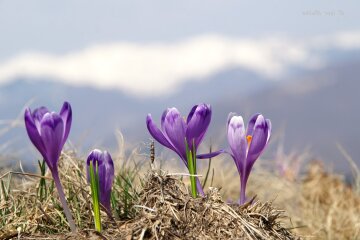 Погода в Украине 4 апреля