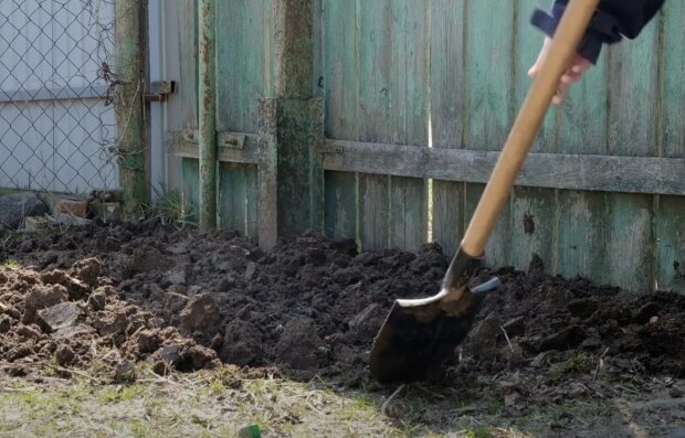  �������� ��������� ������ ������� ��� 