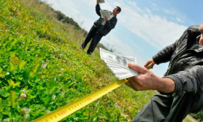 рынок земли, земля, сельское хозяйство