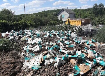 Житель Днепра загадил улицу тоннами мусора, фото: "Жуткая вонь"