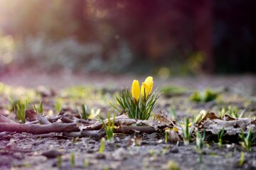 Погода в Одессе: неожиданный прогноз на 9 апреля