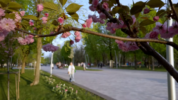 Прогноз погоды на неделю с 20 по 26 апреля в Днепре: