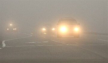 авто туман
