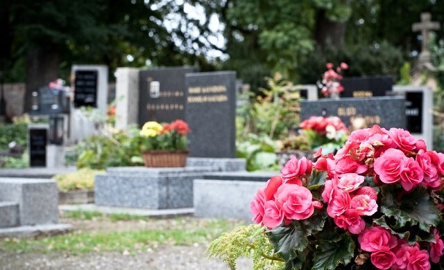 цветы, кладбище,