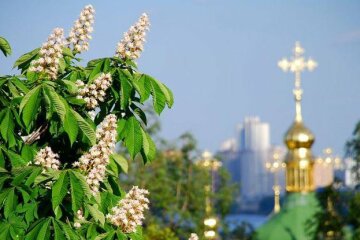 погода-Киев