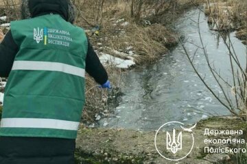 Госэкоинспекция