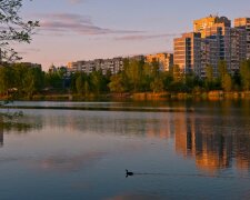 Стало відомо, чому озеро у Києві раптово почервоніло