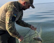 Держекоінспекція