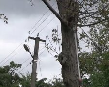 Графіки відключення світла у Кіровоградській області на 24 квітня